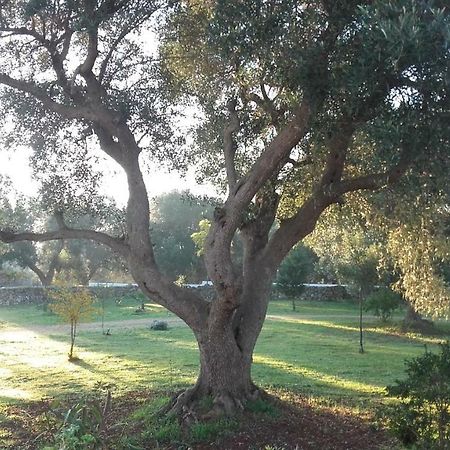 Sol Invictus Est Villa Serranova Ngoại thất bức ảnh