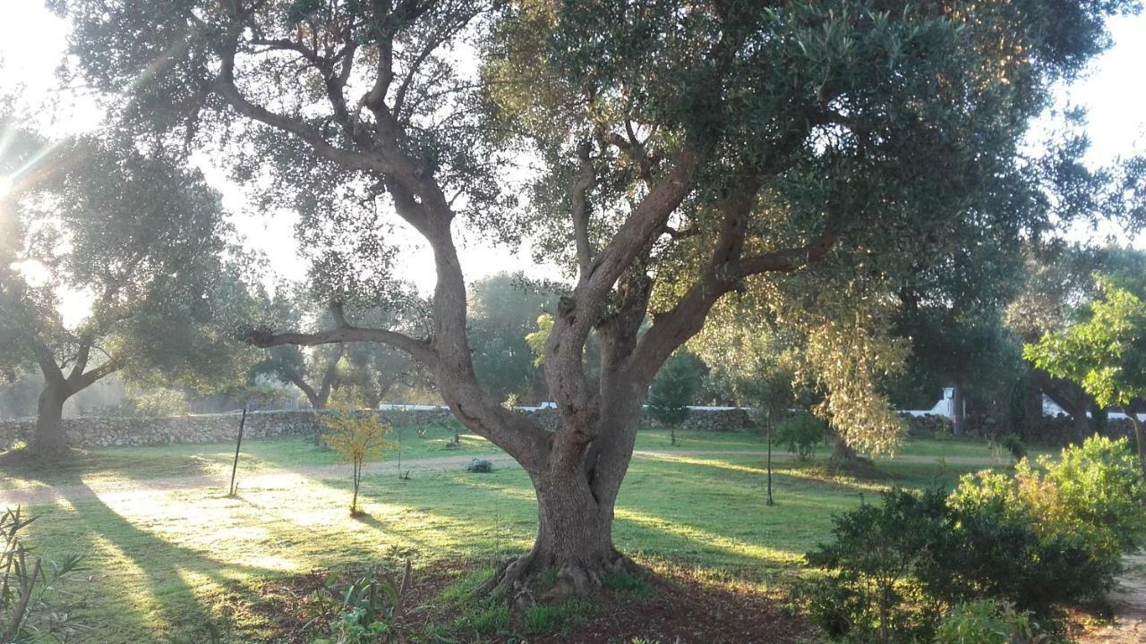 Sol Invictus Est Villa Serranova Ngoại thất bức ảnh